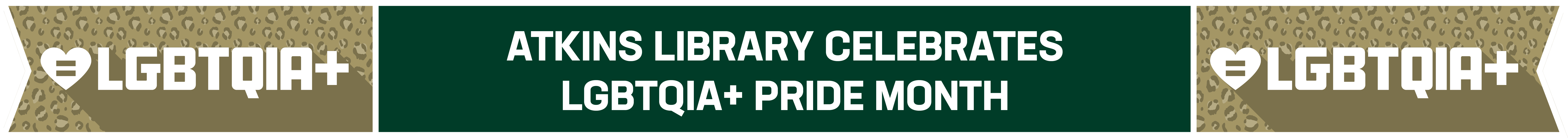 Diversity Banner