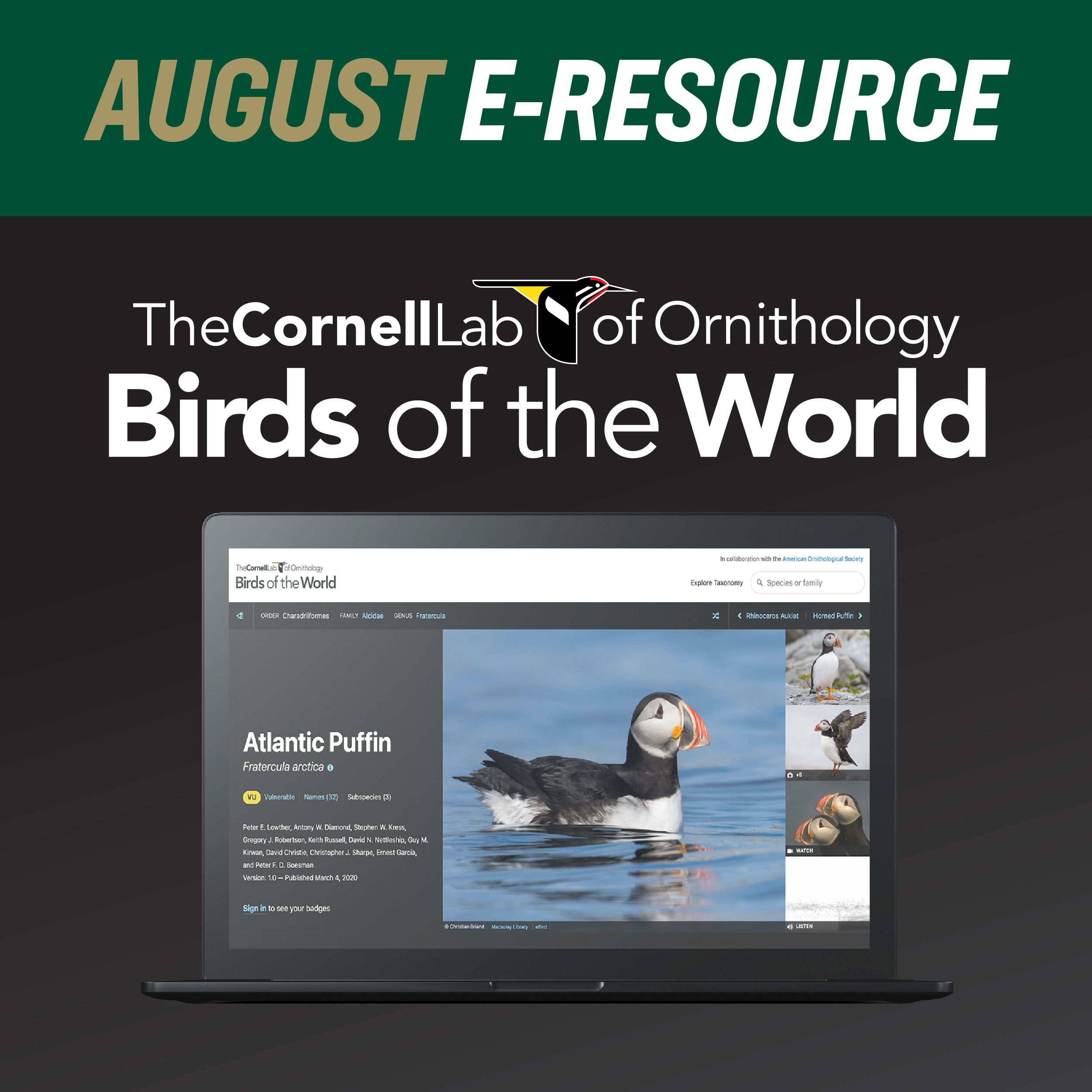 Graphic announcing the August e-resource for the month, birds of the world