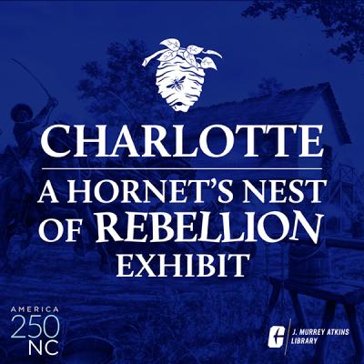 Charlotte Hornets Nest of Rebellion Exhibit