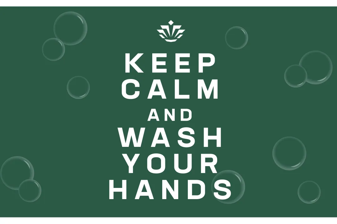 "Keep Calm and Wash Your Hands" on Niner green background color with UNC Charlotte crown logo and light bubbles in the background