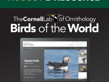 Graphic announcing the August e-resource for the month, birds of the world