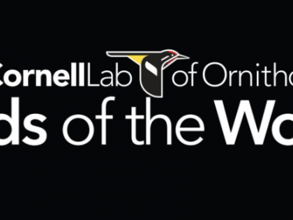 Logo for Cornell Lab of Ornithology: Birds of the World